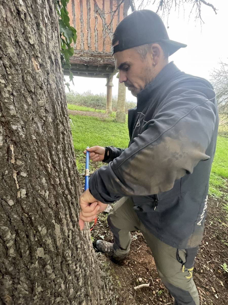 Comment estimer l’âge d’un arbre grâce à la dendrochronologie pour vérifier la prescription trentenaire