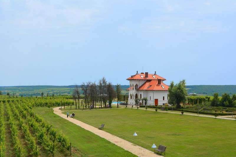 Chateau viticole en Charente