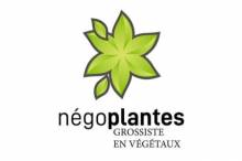 Négoplantes