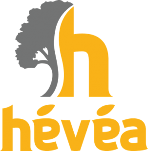 Hévéa